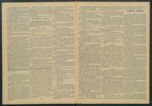 gazeta-1887-25-00002