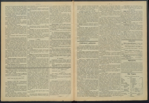 gazeta-1887-33-00002