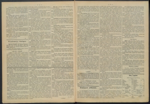 gazeta-1887-36-00002