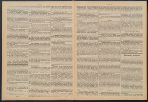 gazeta-1887-55-00002