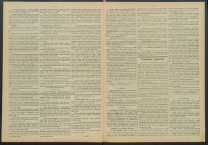 gazeta-1887-71-00002