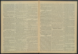 gazeta-1887-77-00002