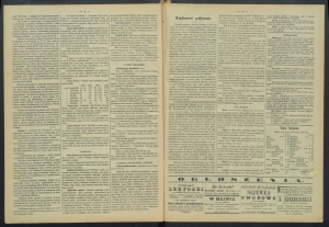 gazeta-1887-82-00002