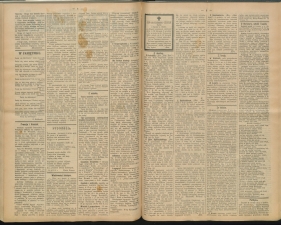 gazeta-1891-101-00002