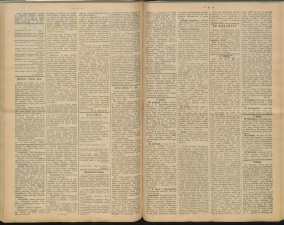 gazeta-1891-102-00002