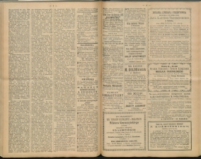 gazeta-1891-102-00003