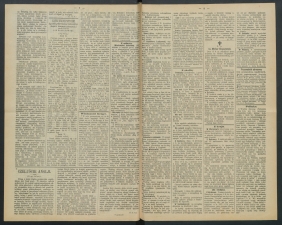 gazeta-1891-33-00002