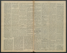 gazeta-1891-34-00002