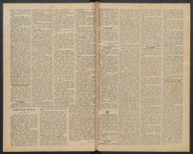 gazeta-1891-35-00002