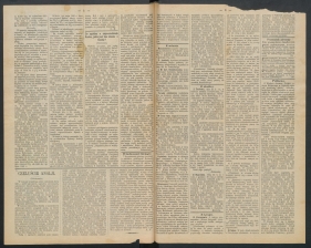 gazeta-1891-36-00002