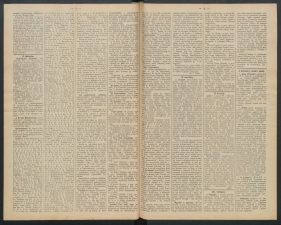 gazeta-1891-37-00002