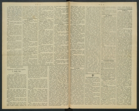 gazeta-1891-41-00002