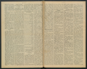 gazeta-1891-42-00002