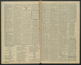 gazeta-1891-47-00002