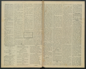 gazeta-1891-48-00002