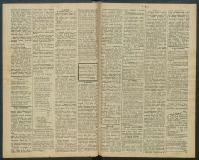 gazeta-1891-51-00002