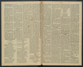 gazeta-1891-54-00002