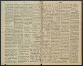 gazeta-1891-56-00002