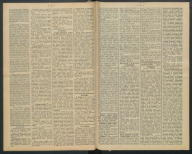 gazeta-1891-56-00003