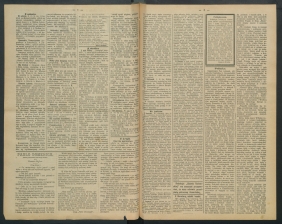 gazeta-1891-57-00002