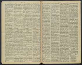 gazeta-1891-59-00002