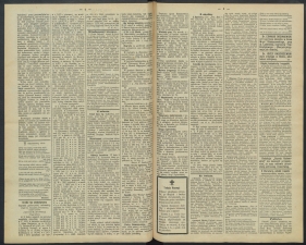 gazeta-1891-63-00002