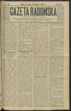 gazeta-1891-65-00001