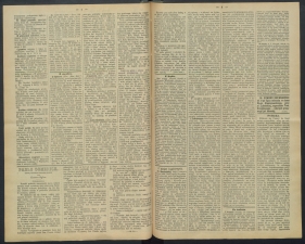 gazeta-1891-65-00002