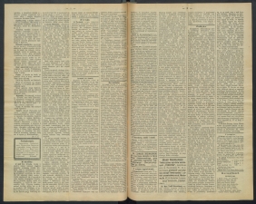 gazeta-1891-66-00002