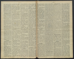 gazeta-1891-67-00002