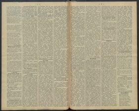 gazeta-1891-69-00002