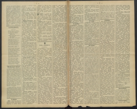 gazeta-1891-71-00002