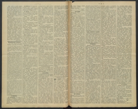 gazeta-1891-72-00002