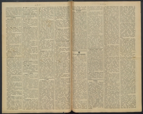 gazeta-1891-79-00002