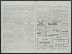 gazeta-1899-101-00002