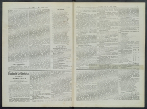 gazeta-1899-104-00002