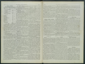 gazeta-1899-18-00002