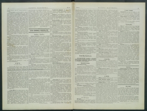 gazeta-1899-19-00002