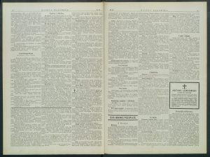 gazeta-1899-20-00002