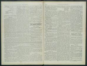 gazeta-1899-24-00002