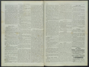 gazeta-1899-28-00002