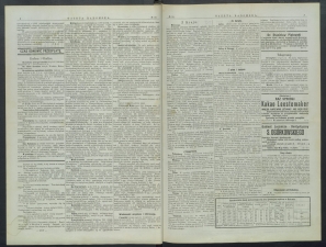 gazeta-1899-31-00002