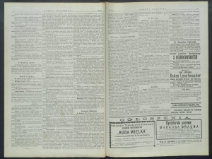 gazeta-1899-34-00002