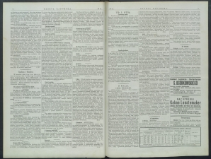 gazeta-1899-41-00002