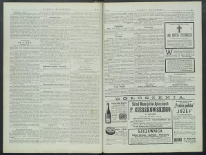 gazeta-1899-49-00003