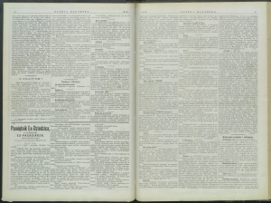 gazeta-1899-59-00002