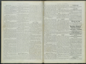 gazeta-1899-64-00002