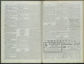 gazeta-1899-66-00002