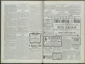 gazeta-1899-69-00003