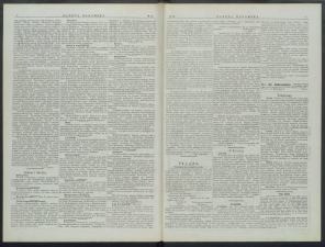 gazeta-1899-95-00002